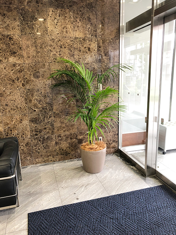 ホテル・マンションの入口付近に観葉植物の大鉢を使った例